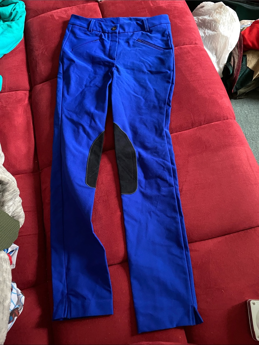 Electric Blue Lorenz Bach jodhpur Style Pants.